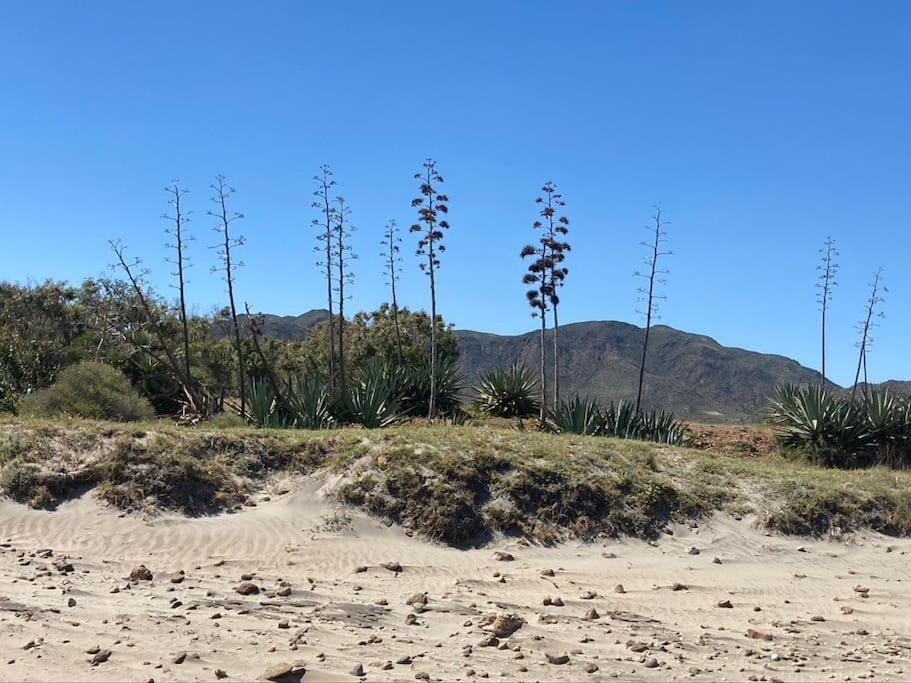 Apartmán Casa Trini Almería Exteriér fotografie